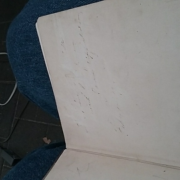 1911 "The Perfect Tribute" - Picture 4 of 10